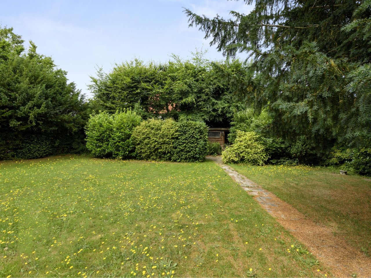 image 04